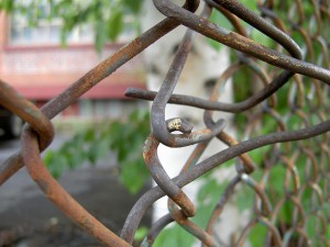 Broken chainlink fence-Dan4th Nicholas