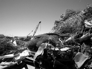 Scrap Yard-Dave Parker